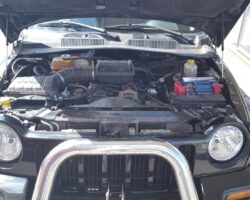 JEEP CHEROKEE V6 2002 - ZENIT PRO OBD