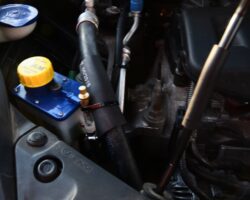 HONDA CIVIC 2008 - TARTARINI